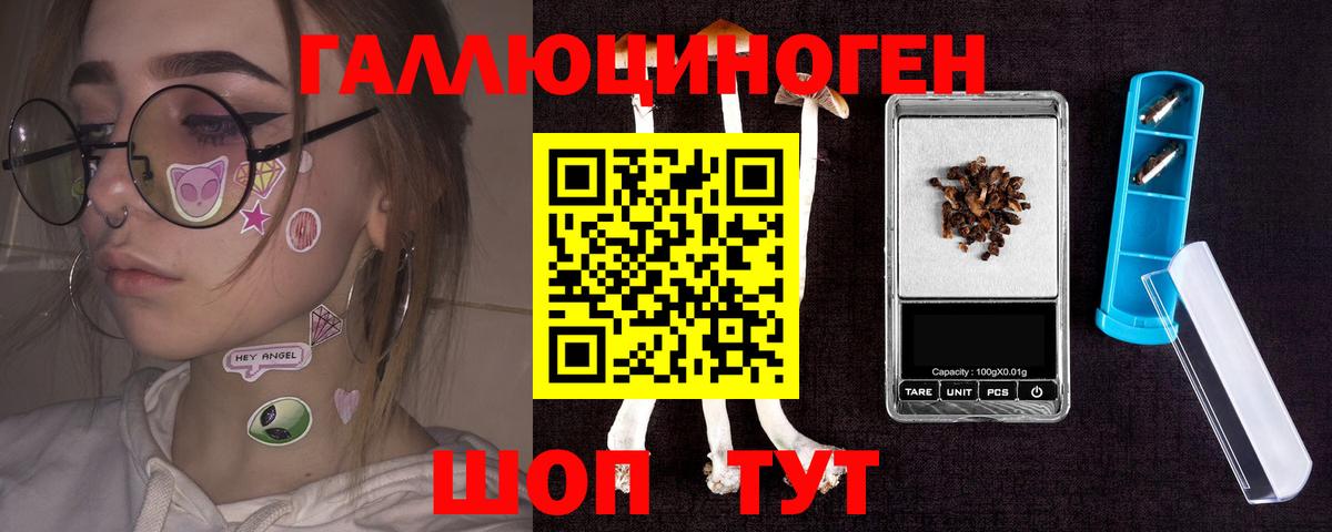 Галлюциногенные грибы Psilocybe Амурск